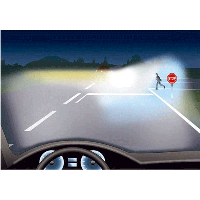 12258NG 12V 55W P14,5S