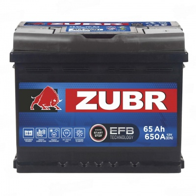 ZUBR EFB 65 Ah R+